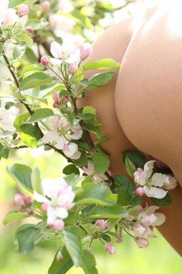 Imagem marcada com: Ass - Butt